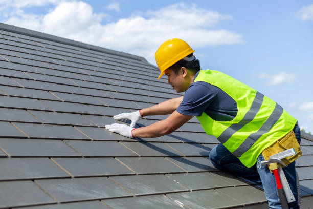 Best Roof Gutter Cleaning  in Volga, SD