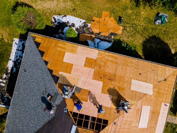 Best Roof Repair Specialists  in Volga, SD